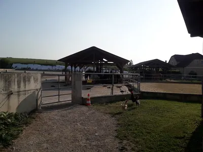 Reitstall Gerstl