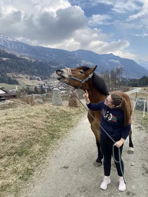 Reitsportarena Hohe Tauern