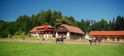 Steinerhof Reiterbauernhof Familie Leitner